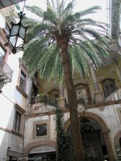 Sizilien (345 von 565).jpg